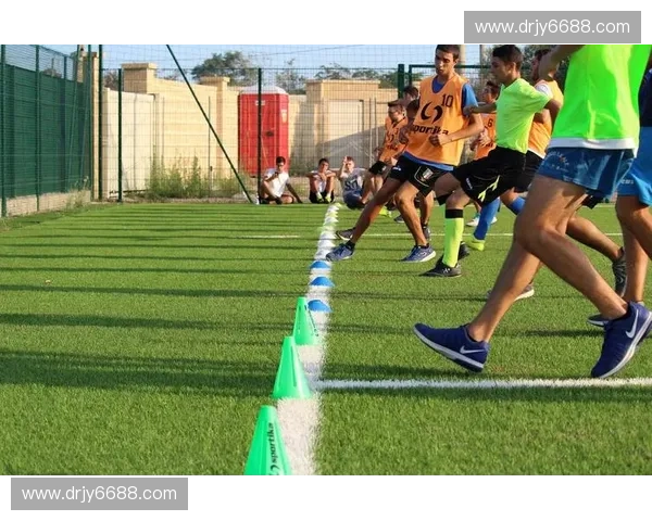 运动表现评估与数据驱动方法在竞技训练中的应用探索